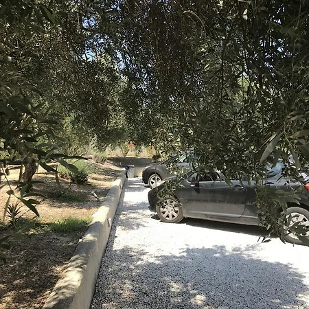 سيان آيكونز كاليفيس