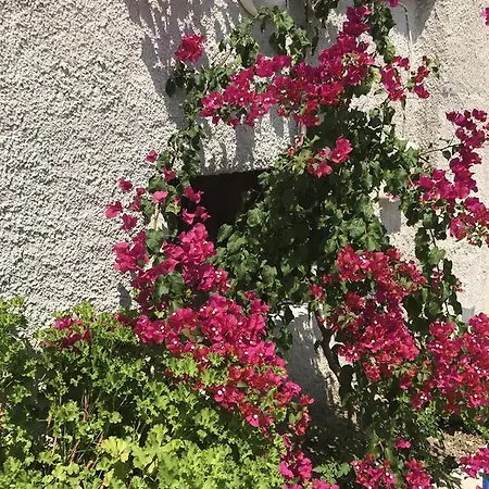 سيان آيكونز * كاليفيس