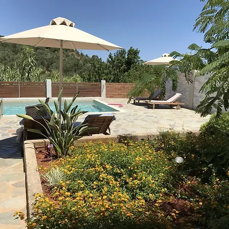 سيان آيكونز
