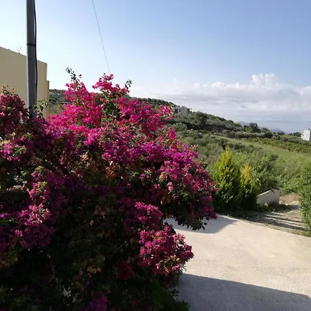 سيان آيكونز