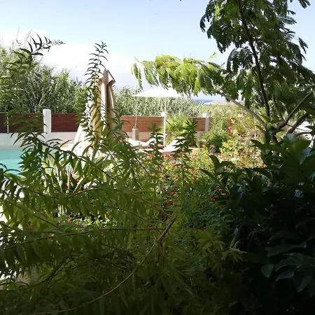 سيان آيكونز فيلة